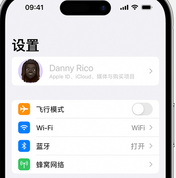 榕江appleID维修服务iPhone设置中Apple ID显示为灰色无法使用 