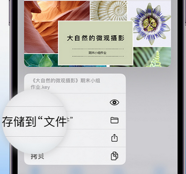 榕江apple维修中心分享iPhone文件应用中存储和找到下载文件