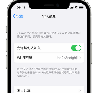 榕江apple服务站点分享iPhone上个人热点丢失了怎么办 