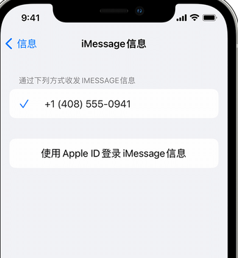 榕江apple维修iPhone上无法正常发送iMessage信息 