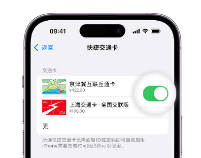 榕江apple维修点分享iPhone上更换Apple Pay快捷交通卡手绘卡面 