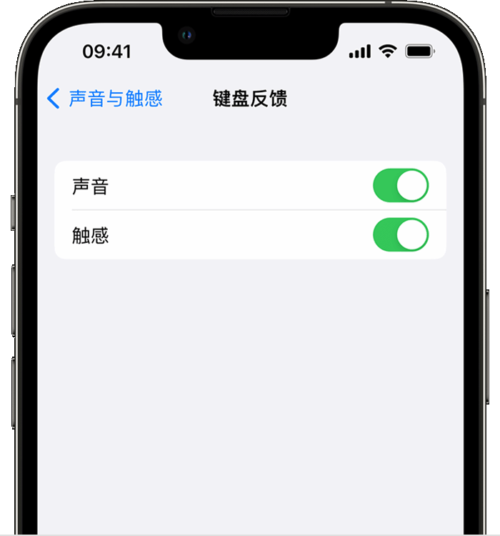 榕江苹果14维修店分享如何在 iPhone 14 机型中使用触感键盘 