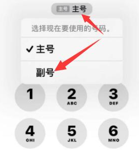 榕江苹果14维修店分享iPhone 14 Pro Max使用副卡打电话的方法 