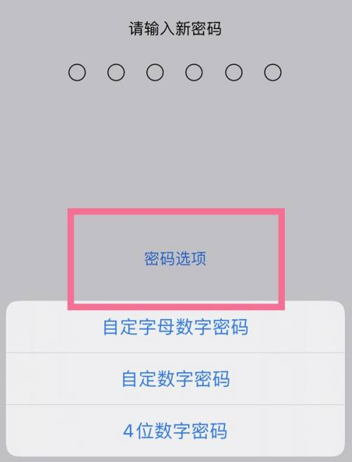 榕江苹果14维修分享iPhone 14plus设置密码的方法 