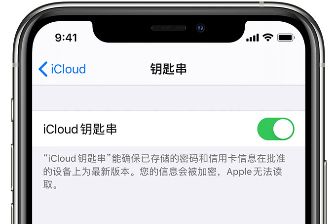 榕江苹果手机维修分享在 iPhone 上开启 iCloud 钥匙串之后会储存哪些信息 