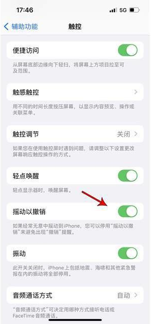 榕江苹果手机维修分享iPhone手机如何设置摇一摇删除文字 