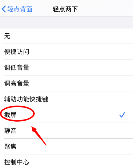 榕江苹果手机维修分享iPhone12如何启用双击截屏 