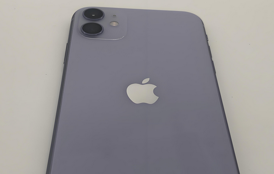 榕江苹果11系统维修分享iPhone11手机系统崩溃无法开机如何解决 