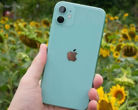 榕江苹果维修点分享iPhone 11锁屏密码认知与使用科普 